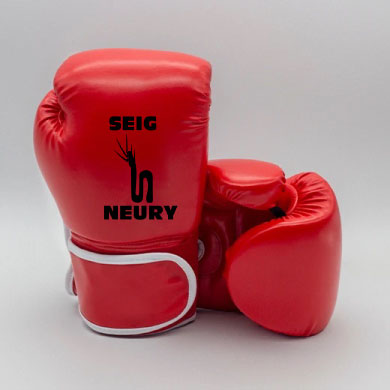 Gants de boxe SEIGNEURY gant d'entraînement Kickboxing accessoires unisexe