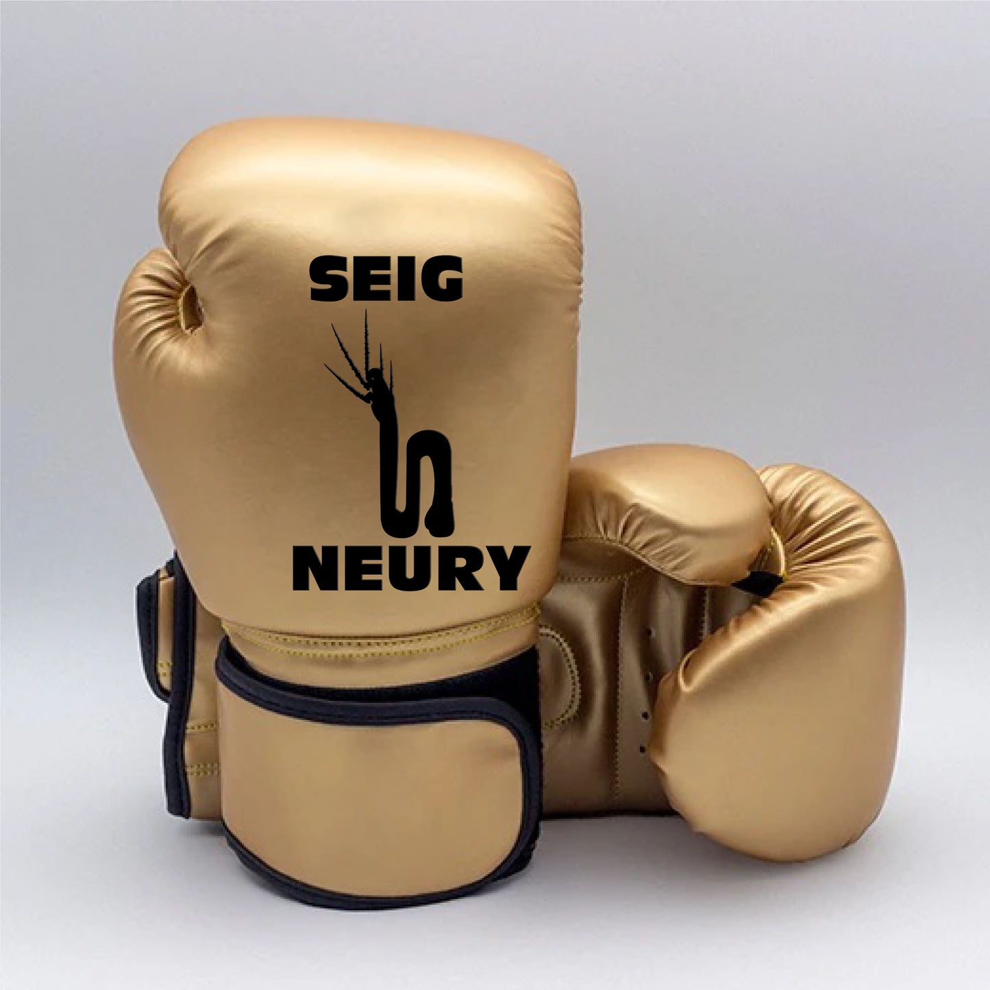 Gants de boxe SEIGNEURY gant d'entraînement Kickboxing accessoires unisexe