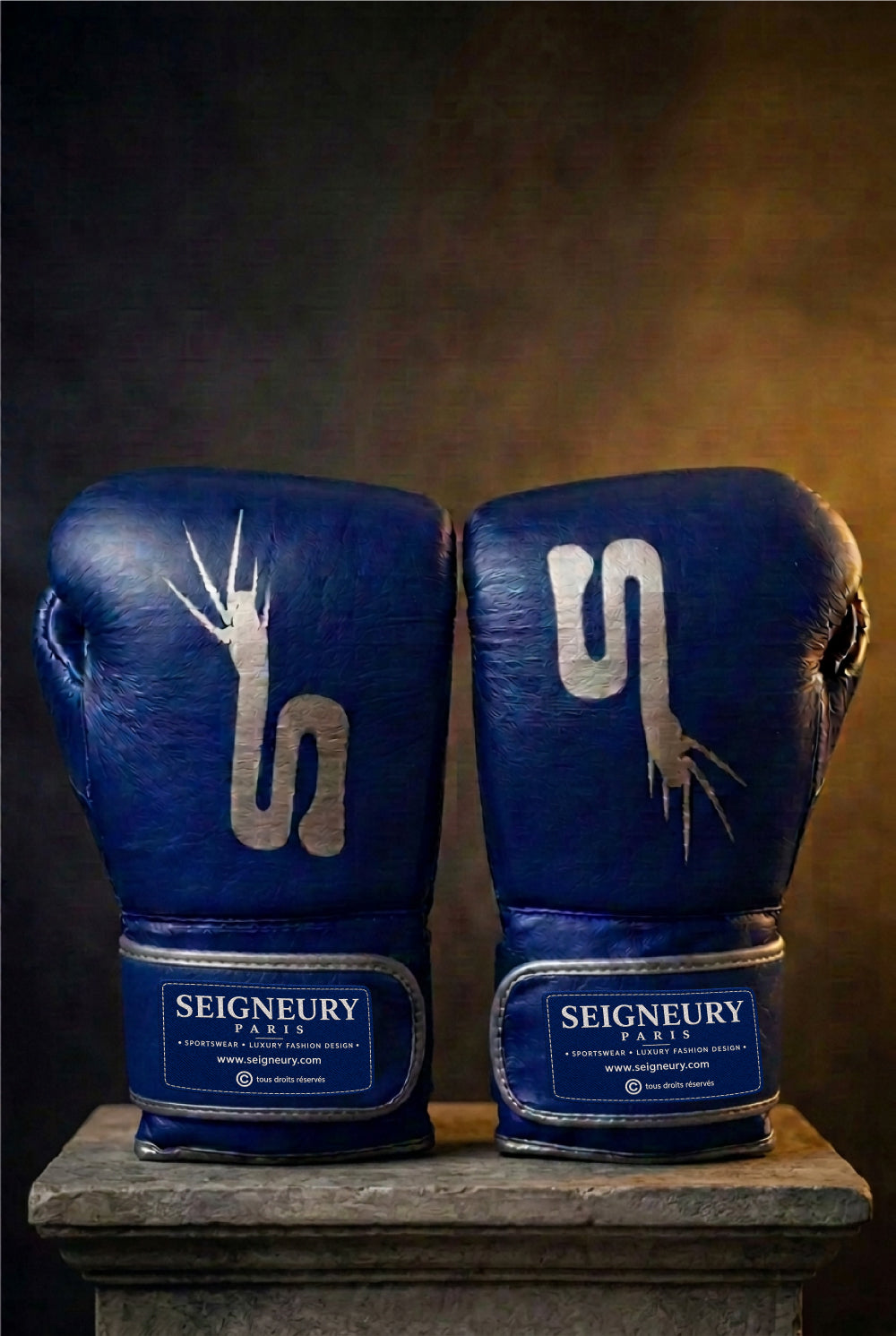 Gants de boxe SEIGNEURY « L’Esprit du Champion » – Signature Argent