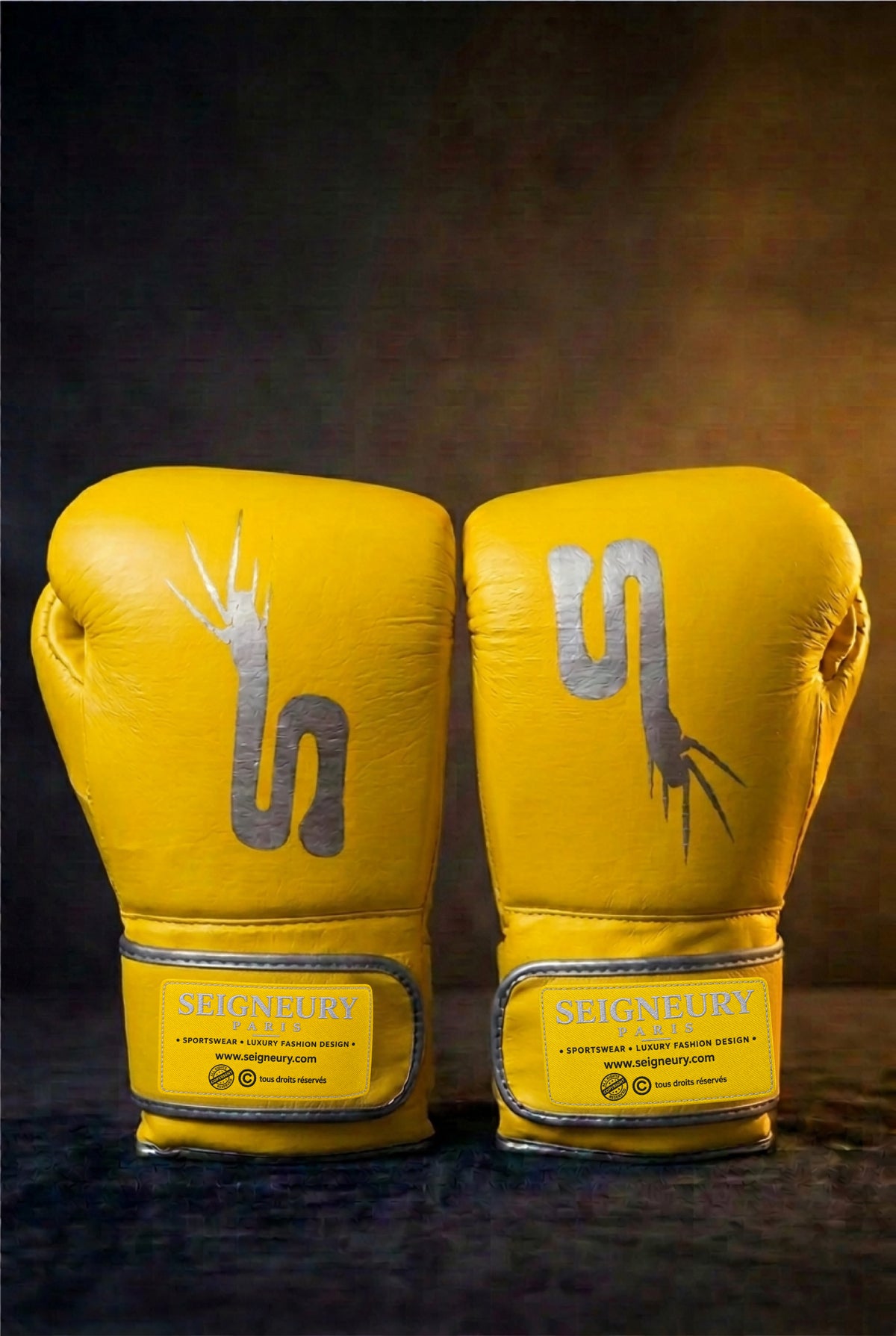 Gants de boxe SEIGNEURY « L’Esprit du Champion » – Signature Argent